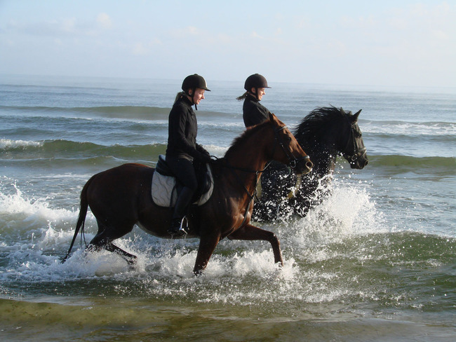 Spaß für Pferd und Reiter