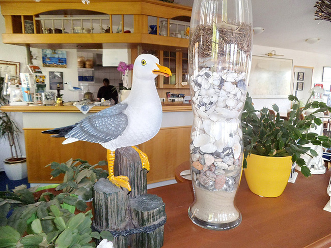 Möwe in der Frühstücksveranda Möwe