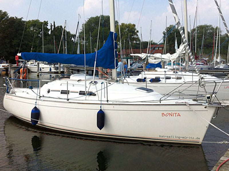Delphia 29