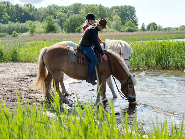 Reitpause am Bodden Reitpause am Bodden
