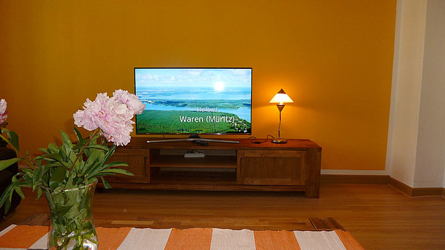 Ferienwohnung 2 - Wohnzimmer mit Flachbild-Fernseher