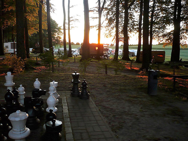 Schachspiel im Wald