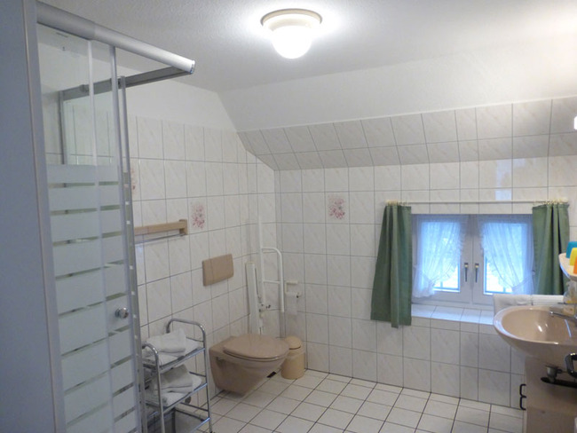 erstes Badezimmer mit Dusche und Fenster