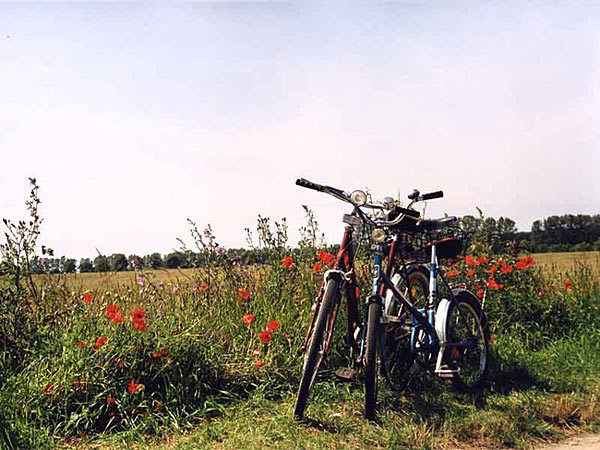 fahrrad zingst