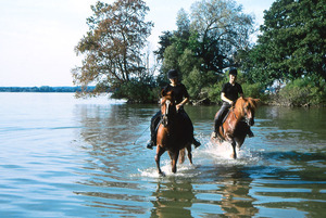 Reiter am Schweriner See reiter-am-schweriner-see