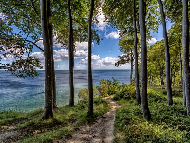 Nationalpark Jasmund - Ostseebad Baabe