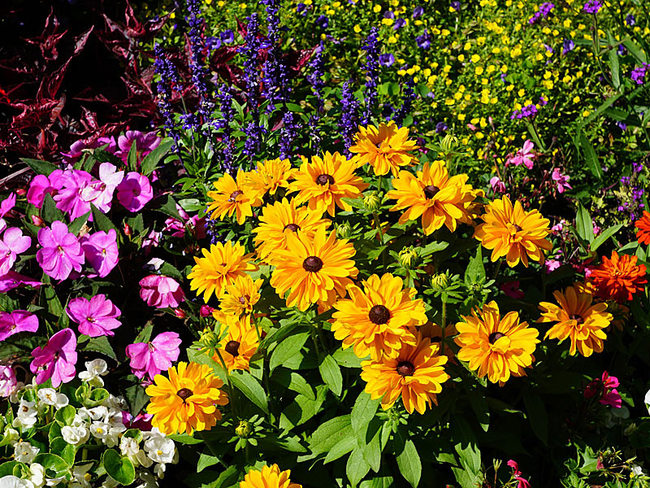 Frühlingsblumen - © pixabay Frühlingsblumen - © pixabay