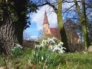 petri-kirche-fruehjahr