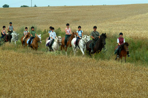 reitausflug