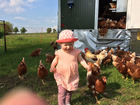 Kind am Hühnerwagen