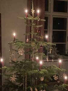 Weihnachtsbaum