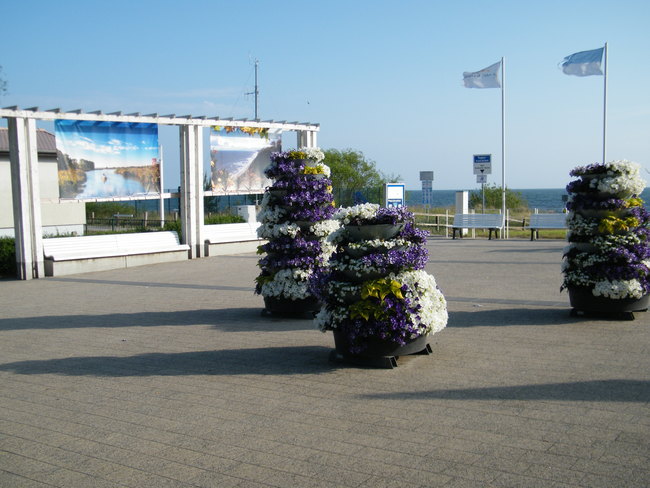 Inselrundfahrt_Neu