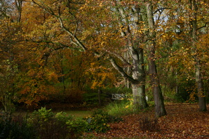 Park im Herbst 