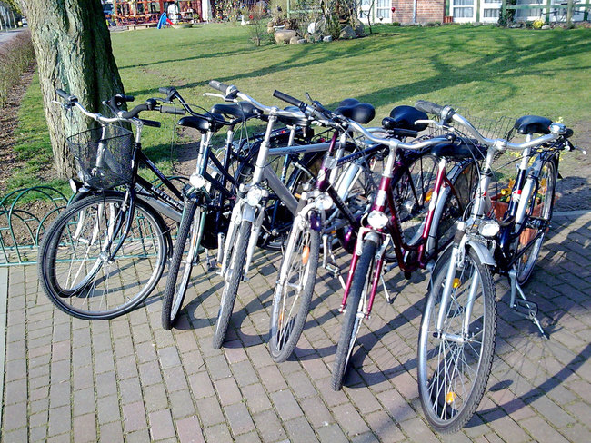Komm wir radeln um den See Fahrradverleih im Ferienpark