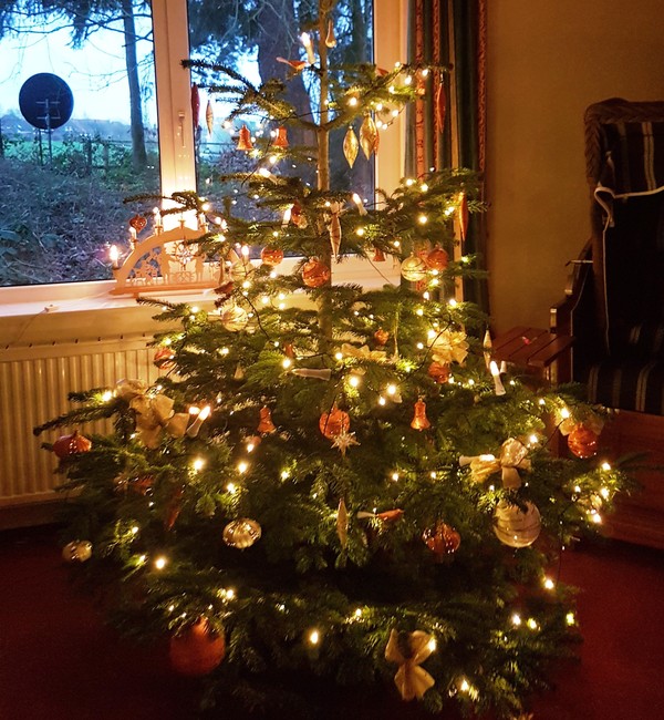 Weihnachtsbaum_klein