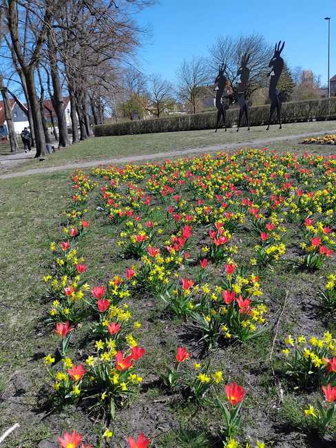 Frühling in Parchim